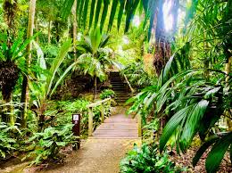 Cairns Botanic Gardens