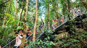 Atherton Tablelands Explorer